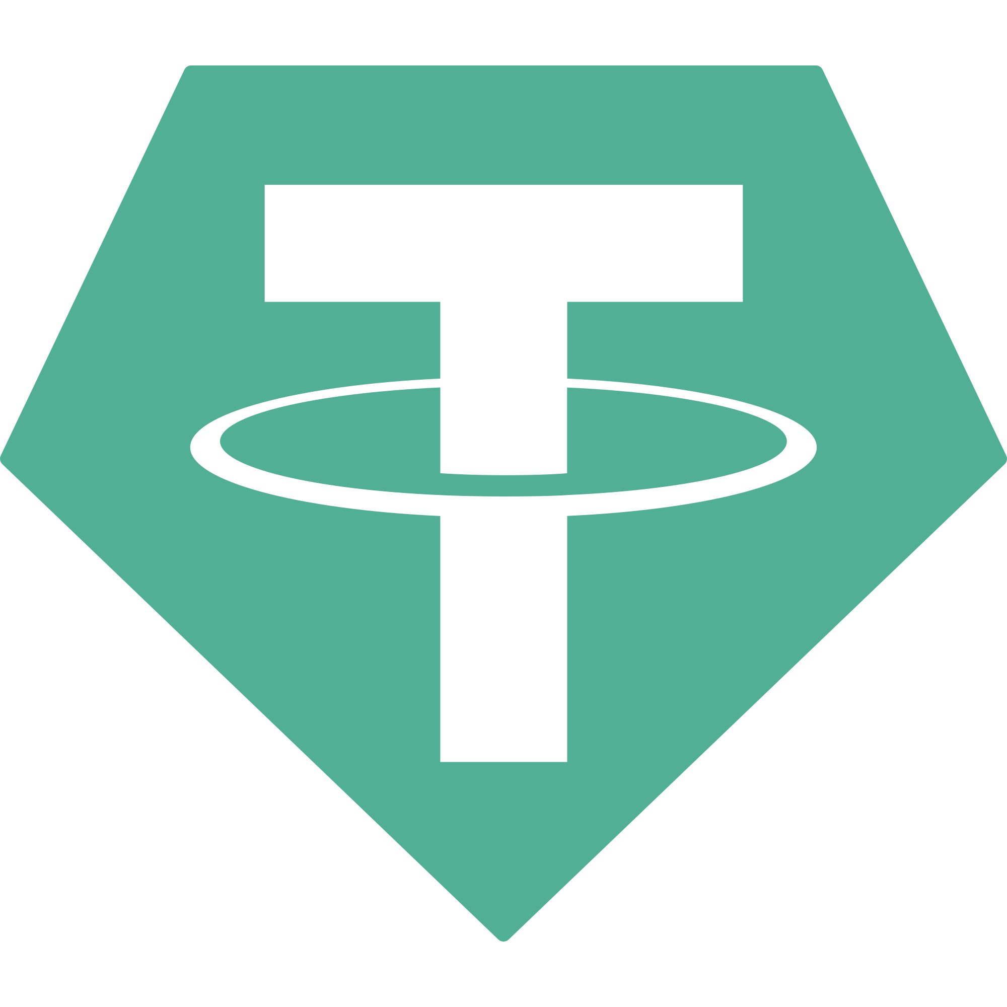 Tether (USDT) Payment Method Image