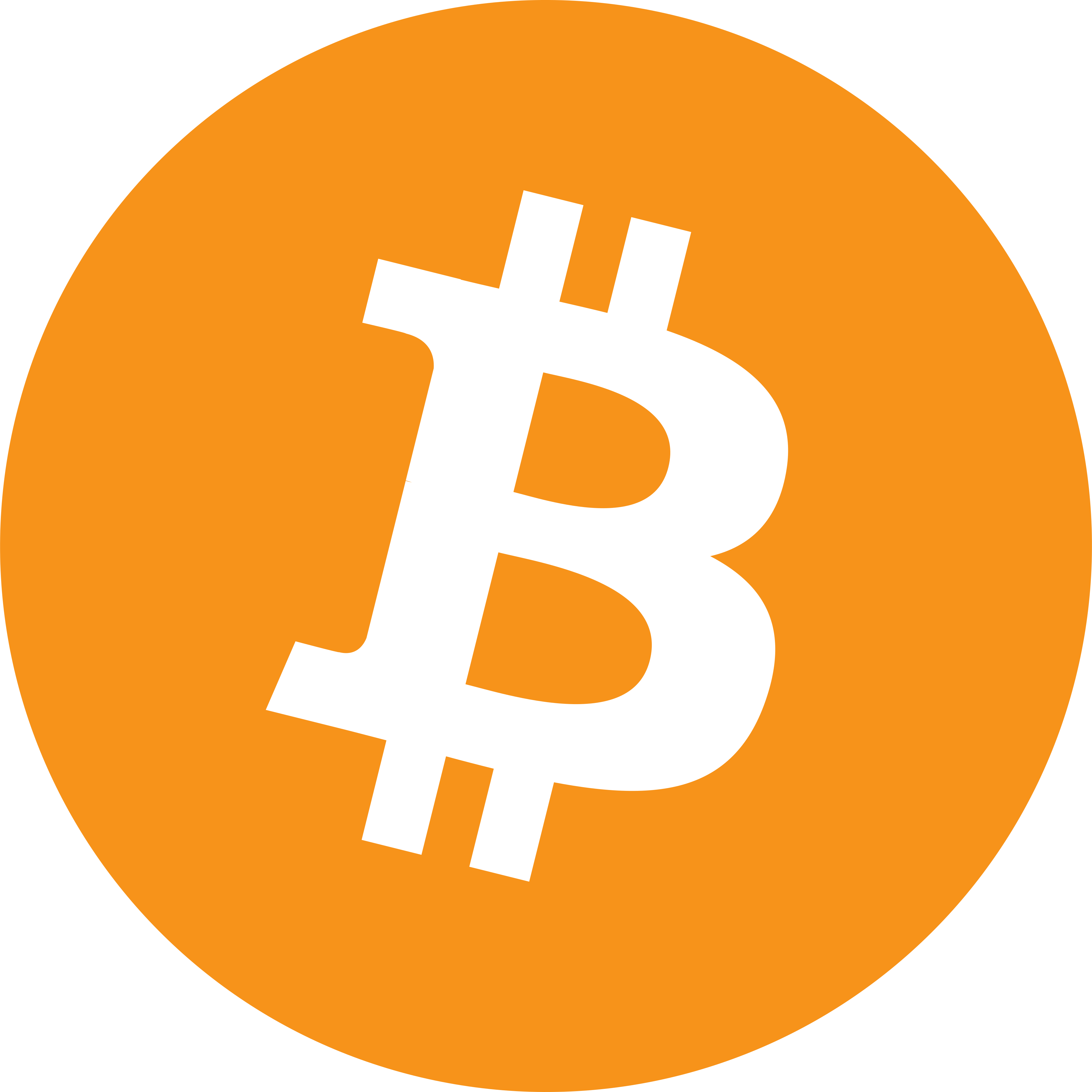 Bitcoin (BTC) Payment Method Image